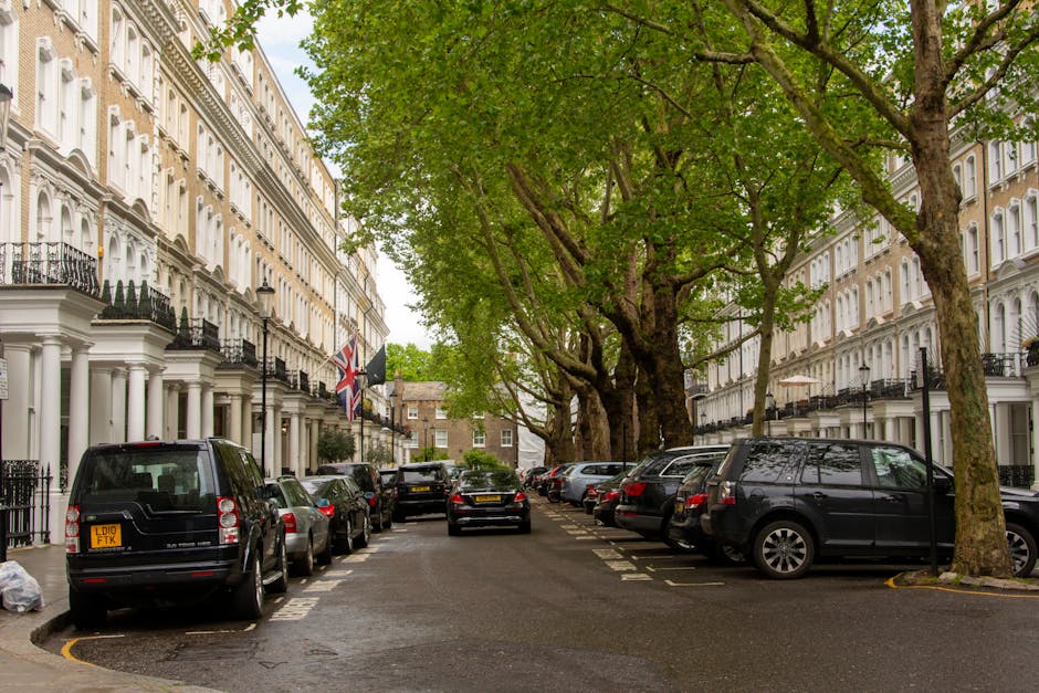 A residential street in Paddington W2 with white Victorian-style terraced houses featuring black wrought-iron balconies and decorative cornices, separated by black iron railings. The street is lined with large, mature trees with lush green foliage that extend their branches over the roadway, creating a canopy. Parked cars of various sizes and models, primarily in black, silver, and dark green, are positioned along both sides of the narrow street, with some partially on the sidewalk and others within designated parking bays. The pavement appears wet, possibly after recent rain, and a black van is parked on the left near the curb, indicating potential involvement in house removals or furniture transport. Little visible activity occurs, but the scene suggests a typical urban residential area suitable for household relocations, with the presence of a specialist like Man With a Van Paddington supporting moving and packing services. Natural daylight provides even and soft illumination, highlighting the details of the buildings, vehicles, and surrounding greenery.